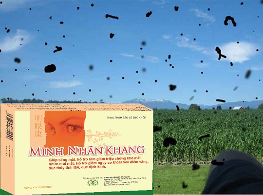 Thấy chấm đen ruồi bay dùng Minh Nhãn Khang tốt không