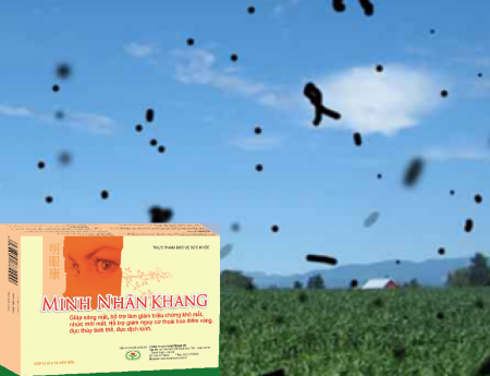 Mắt bị ruồi bay dùng Minh Nhãn Khang có tốt không?